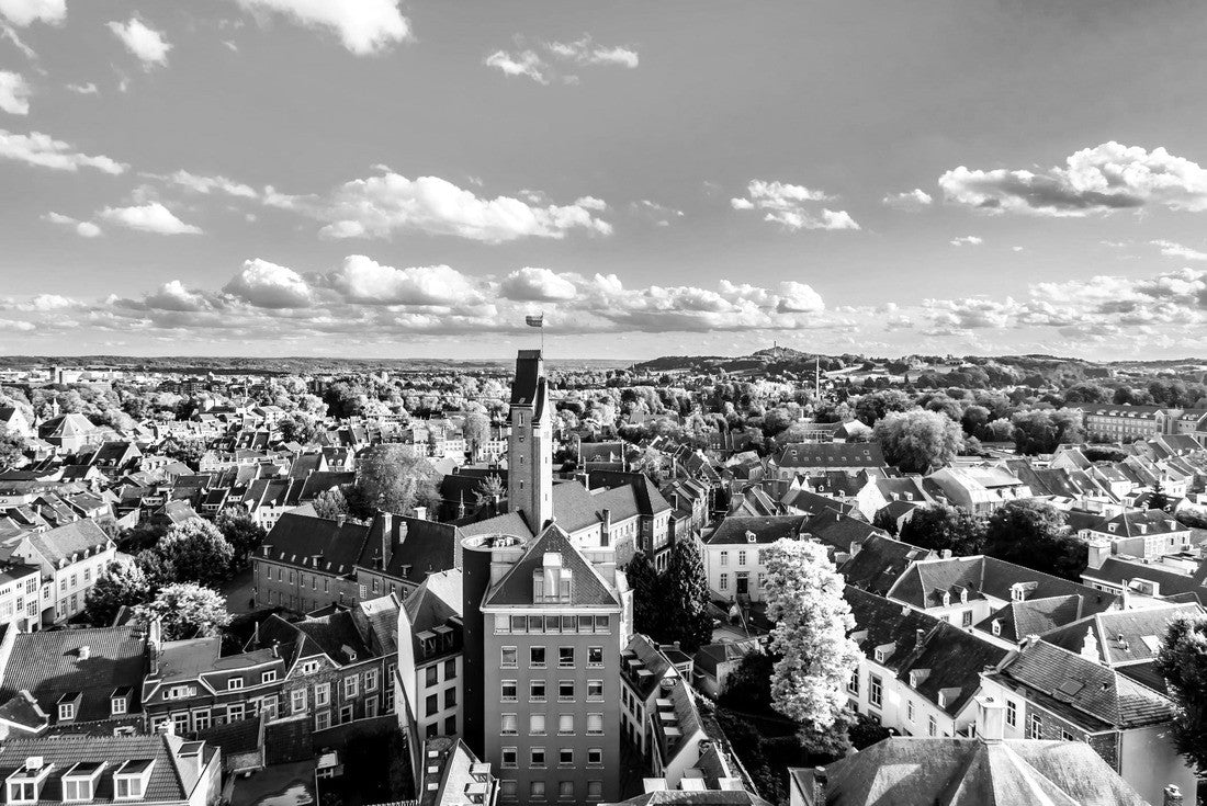 Noah Jigsaw Puzzle Aerial view of the historic city of Maastricht in the Netherlands from the tower of St. Janskerk (Johannkirche), which is located on Vrijthof Square in the city center in black white 2000 pieces