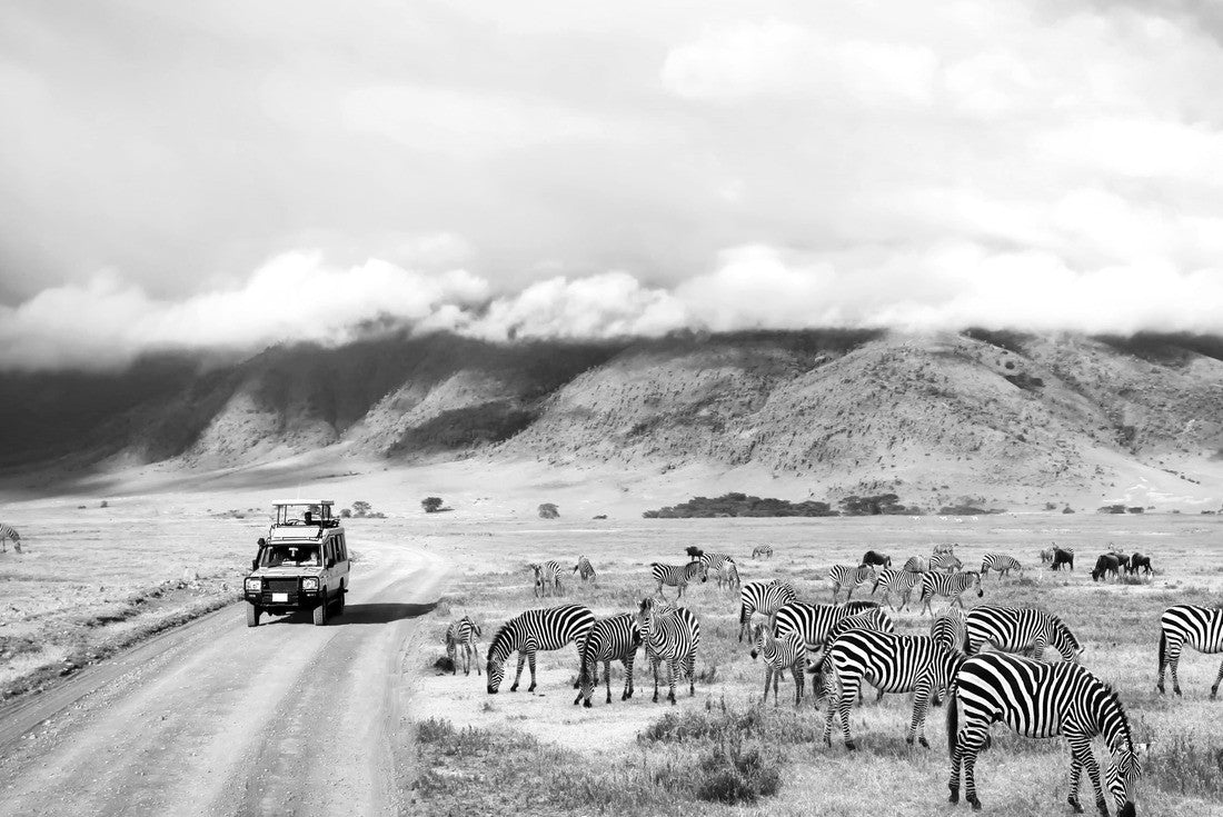 Noah Jigsaw Puzzle The wild nature of Africa. Zebras on mountains and clouds. Safari in the Ngorongoro Crater National Park. Tanzania in black white 2000 pieces
