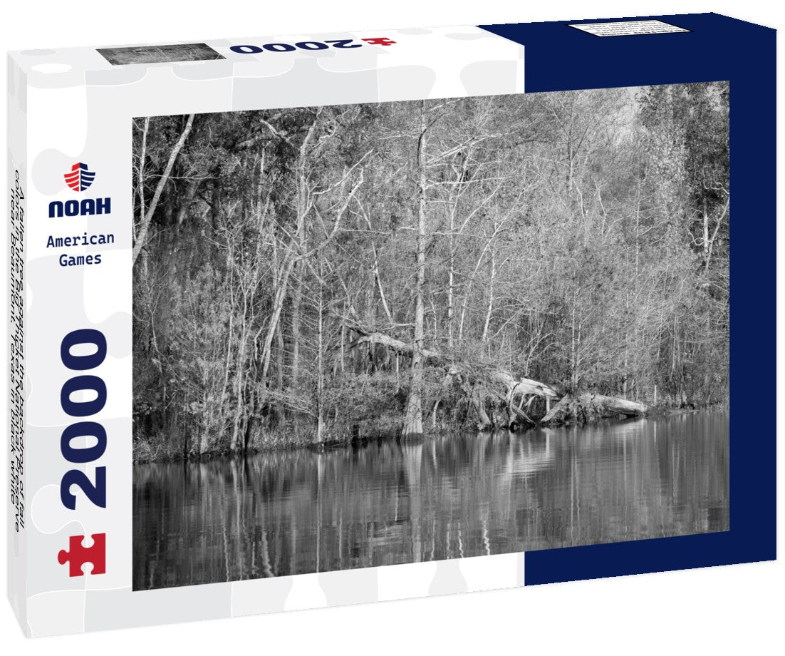 A fallen tree against the backdrop of fall colors in the Big Thicket National Preserve near Beaumont, Texas 2000pc PuzzleBlack and White