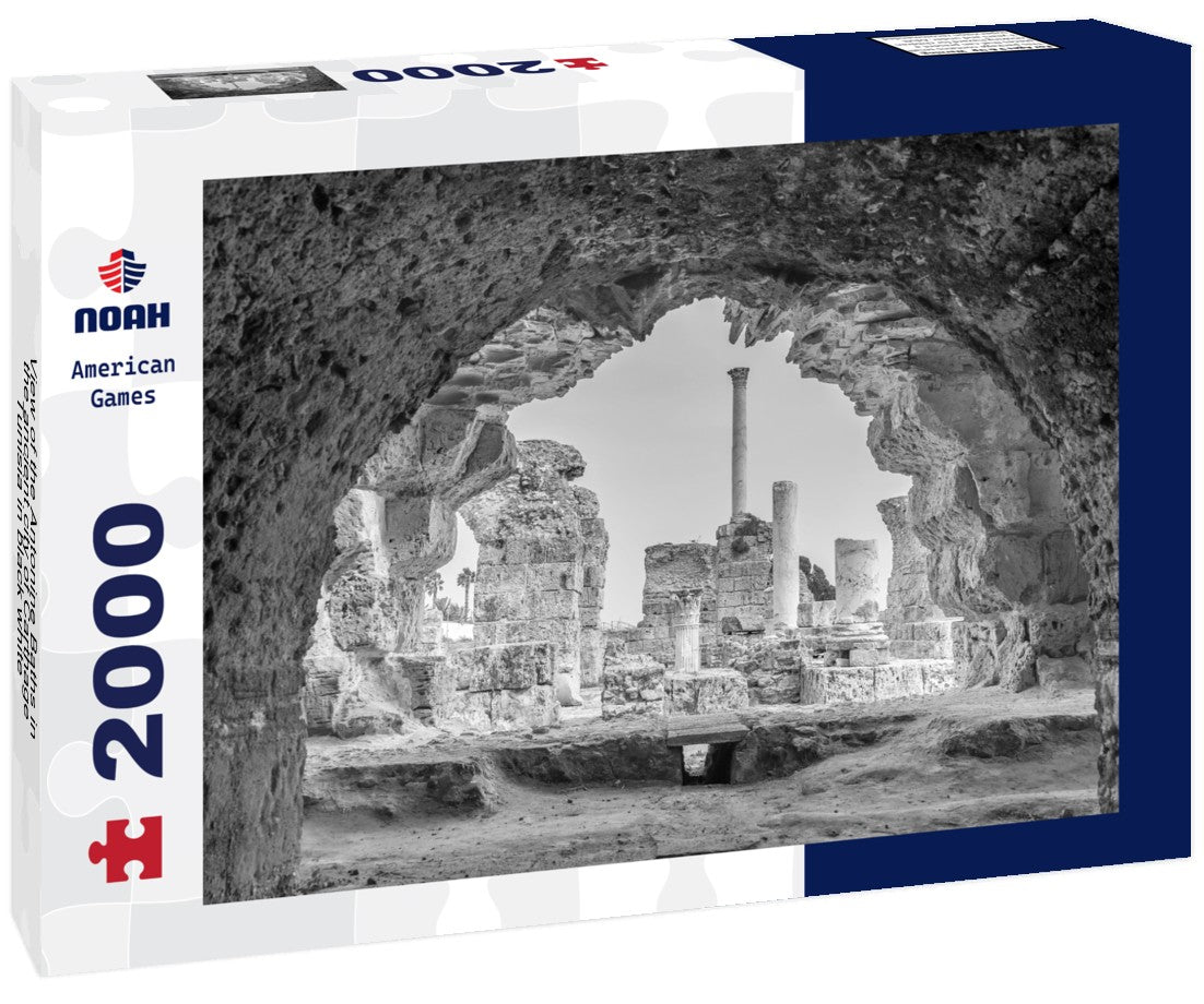 Noah Jigsaw Puzzle View of the Antonine Baths in the ancient city of Carthage, Tunisia in black white 2000 pieces