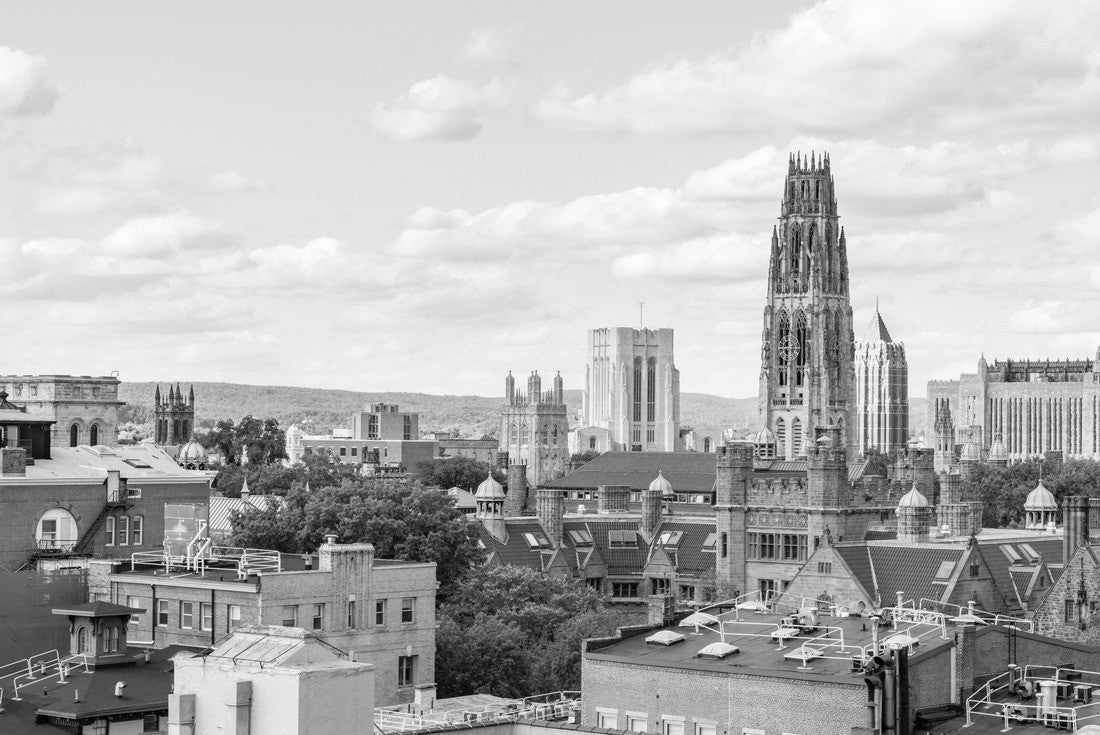 Noah Jigsaw Puzzle City skyline of New Haven, Connecticut in black white 2000 pieces
