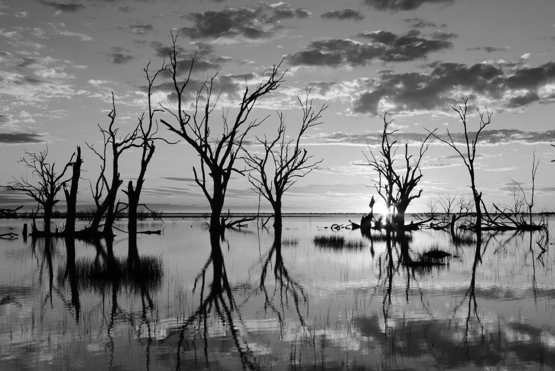 Noah Jigsaw Puzzle Sunset and mirrored reflections on Lake Menindee a large shallow lake in Central Australia in black white 2000 pieces