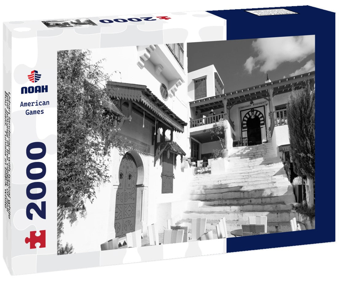 Noah Jigsaw Puzzle Urban landscape with typical white, blue houses in the village of Sidi Bou Said, Tunisia in black white 2000 pieces