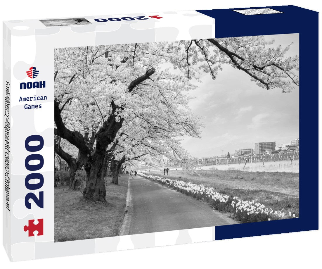 Full Bloom Cherryblossom Sakura at Kitakami Tenshochi Park in Kitakami, Iwate, Japan 2000pc PuzzleBlack and White