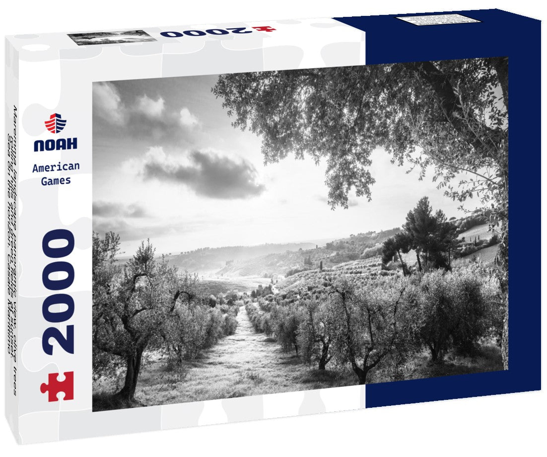 Maremma landscape view, olive trees, rolling hills and green fields at sunset. Sea on the horizon. Casale Marittimo, Pisa, Tuscany Italy 2000pc PuzzleBlack and White