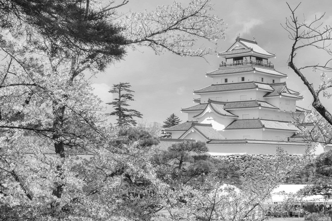 Aizuwakamatsu Castle and Cherry Blossom in Fukushima, Japan 2000pc PuzzleBlack and White