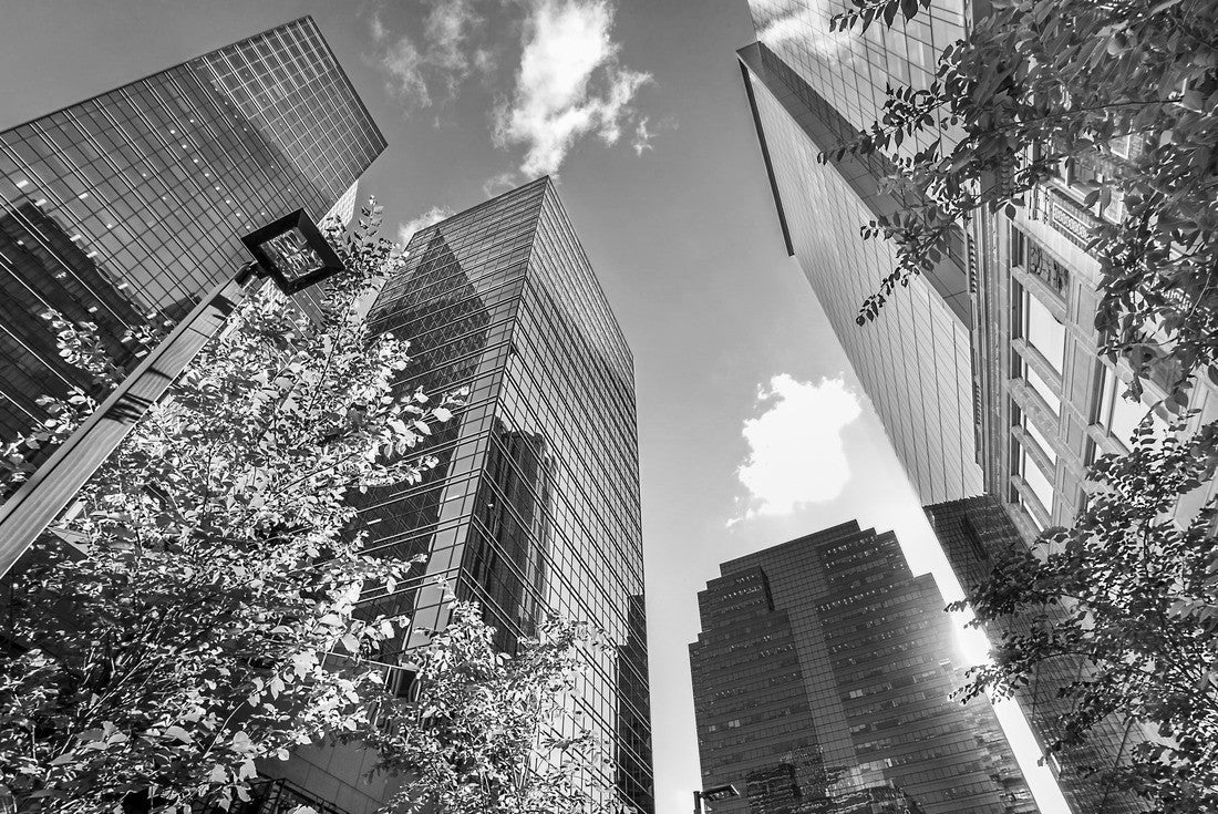 In the center of Edmonton Alberta Canada 2000pc PuzzleBlack and White