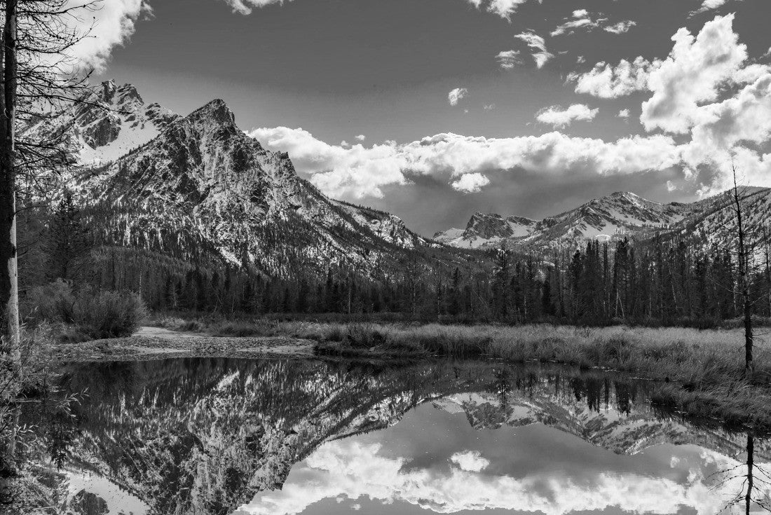 Noah Jigsaw Puzzle McGown Peak near Stanly Idaho reflected in a pond located in a wetland area near Stanley Lake in black white 2000 pieces