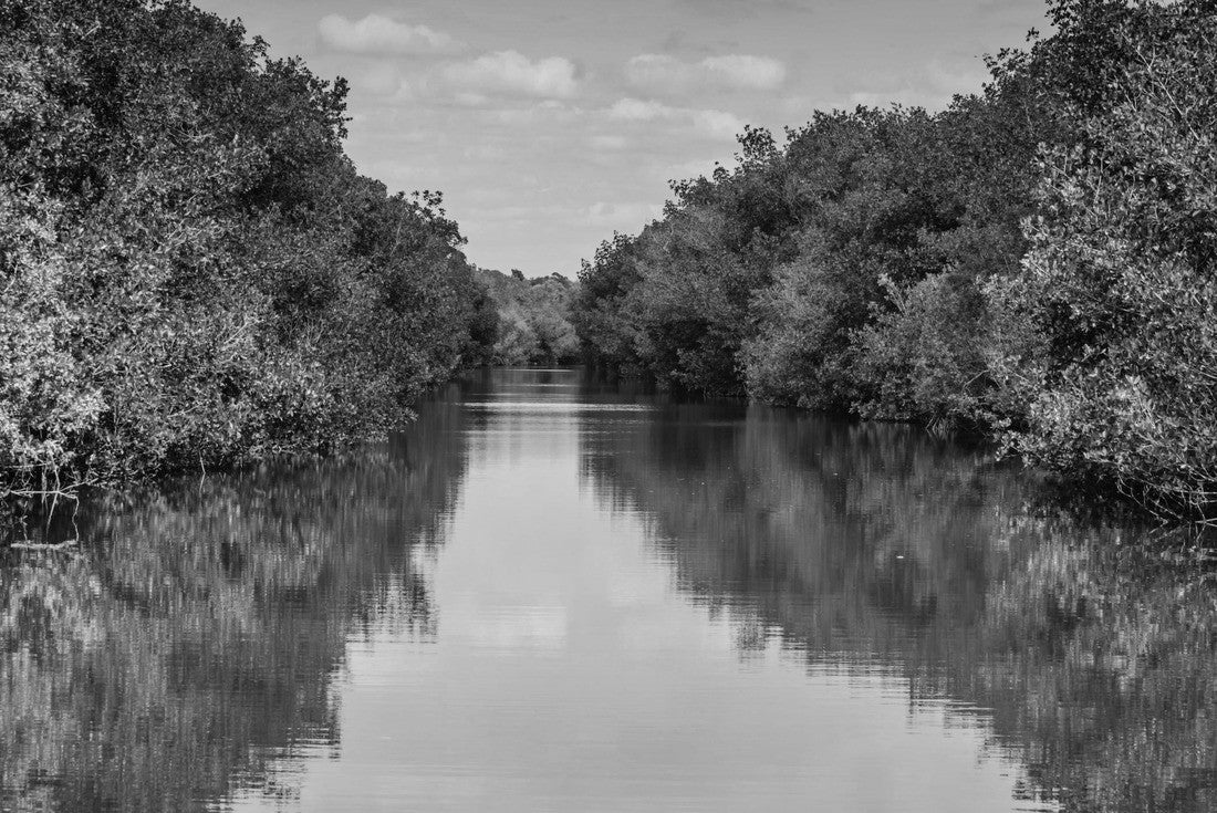 Noah Jigsaw Puzzle Sky and trees reflected on the lagoon at Biscayne National Park in black white 2000 pieces