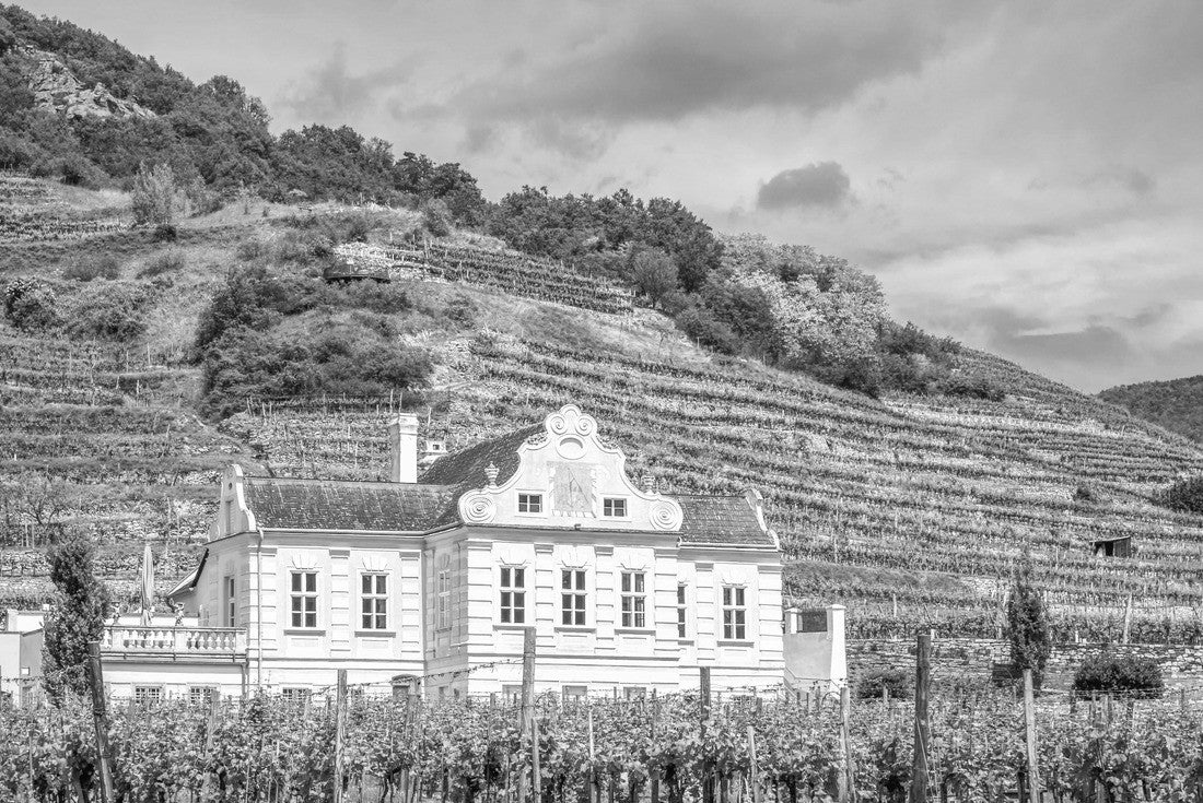 Wineyard in Duernstein, Wachau, Austria 2000pc PuzzleBlack and White