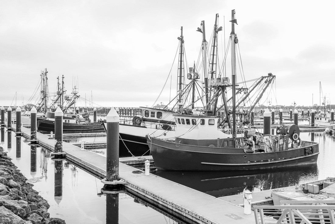 A harbor in Crescent City California 2000pc PuzzleBlack and White