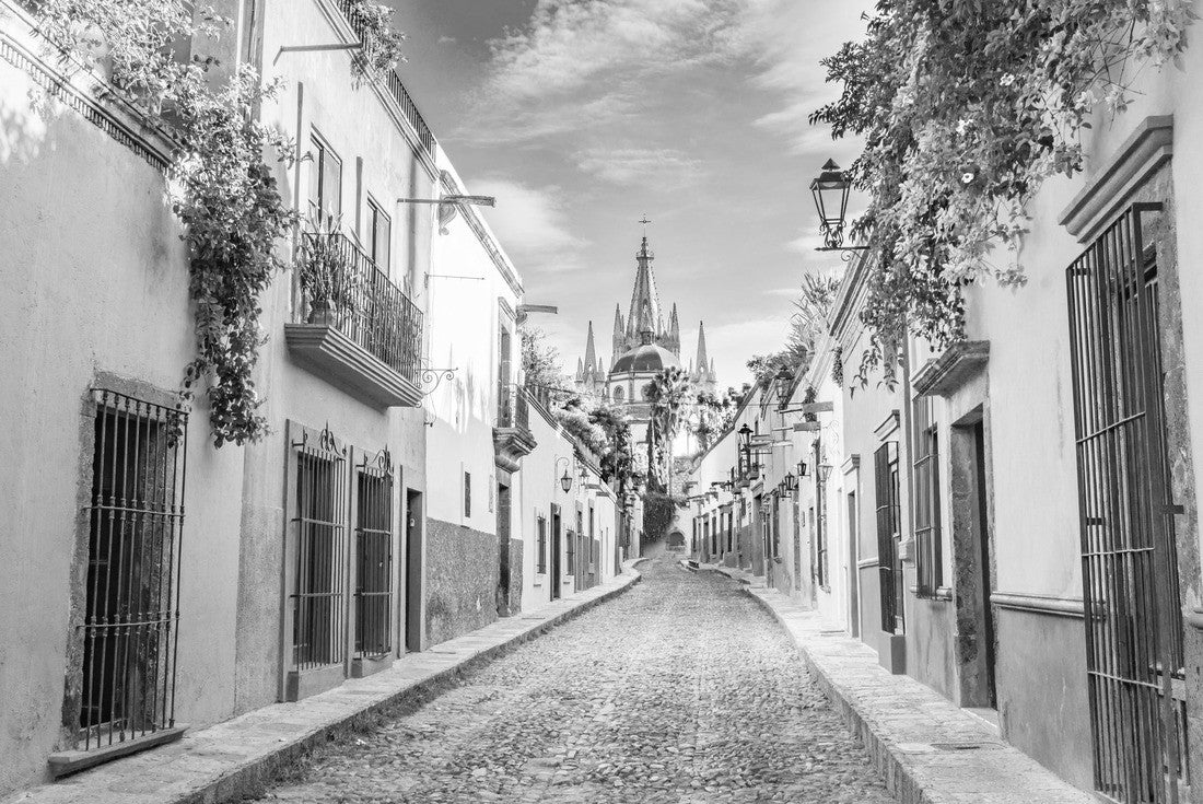 Beautiful streets and colorful facades of San Miguel de Allende in Guanajuato, Mexico 2000pc PuzzleBlack and White