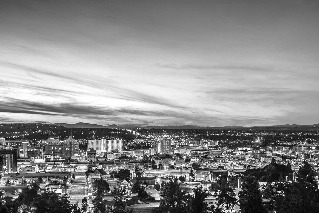 Noah Jigsaw Puzzle Panoramic View Spokane Washington Downtown City Skyline in black white 2000 pieces