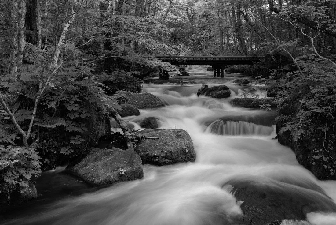 Oirase Stream, Oirase Stream (Oirase Keiryu) is a picturesque mountain stream in Aomori Prefecture, one of Japan's most famous and popular fall color destinations 2000pc PuzzleBlack and White
