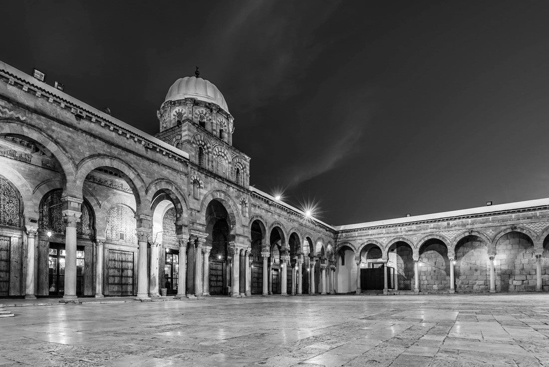 Noah Jigsaw Puzzle The Zaytuna Mosque in Tunisia during blue hour in black white 2000 pieces
