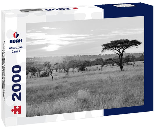 Noah Jigsaw Puzzle Sunset in the African savannah with acacia trees, safari in Serengeti, Tanzania in black white 2000 pieces