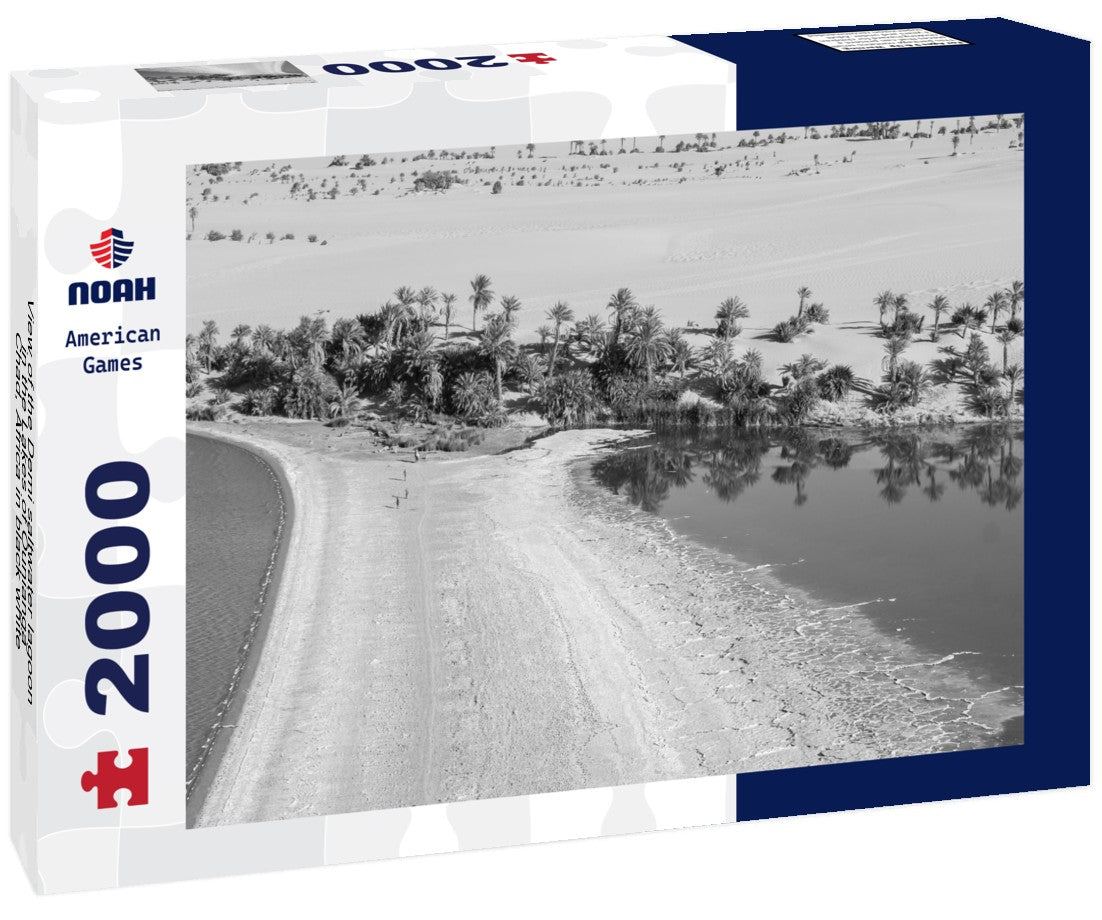Noah Jigsaw Puzzle View of the Demi saltwater lagoon in the Lakes of Ounianga, Chad, Africa in black white 2000 pieces