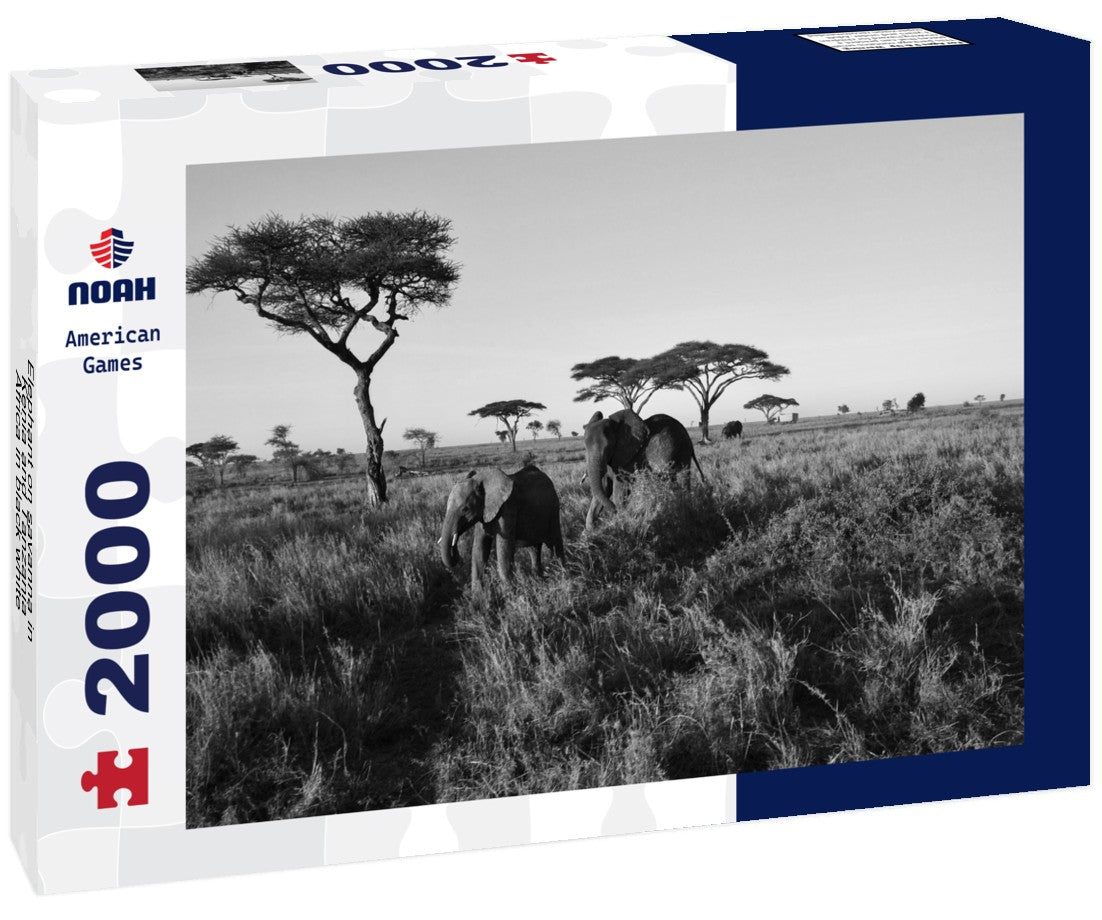 Noah Jigsaw Puzzle Elephant on savanna in Kenia and Tanzania, Africa in black white 2000 pieces
