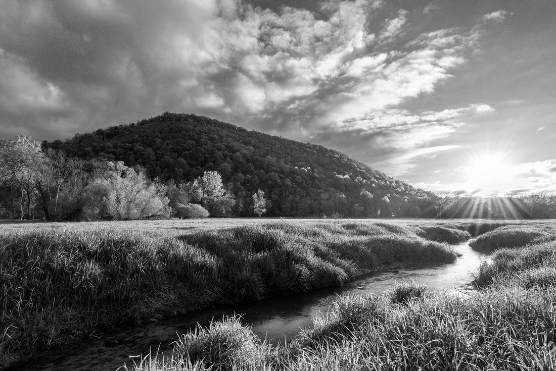 Stream flowing through the valley in Minnesota 2000pc PuzzleBlack and White