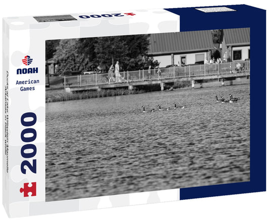 Noah Jigsaw Puzzle Ducks at Lake Willastein Maumelle Arkansas in black white 2000 pieces