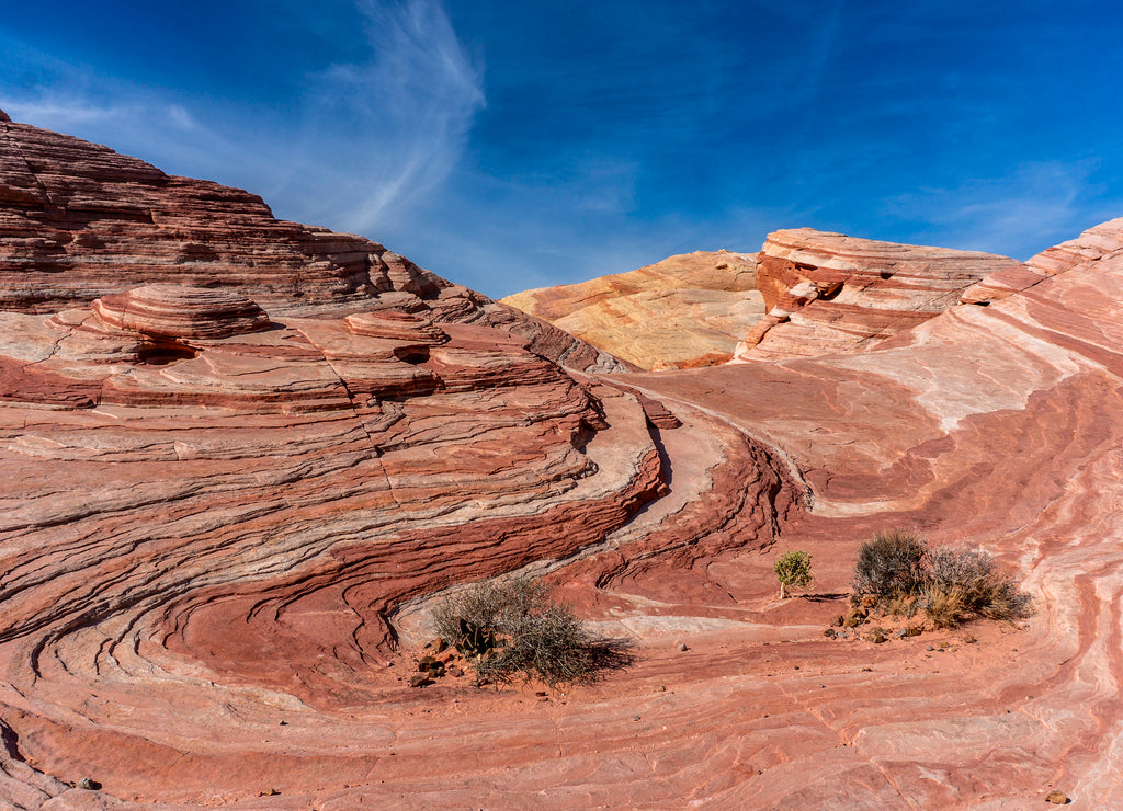 Valley of Fire State Park The Wave 2