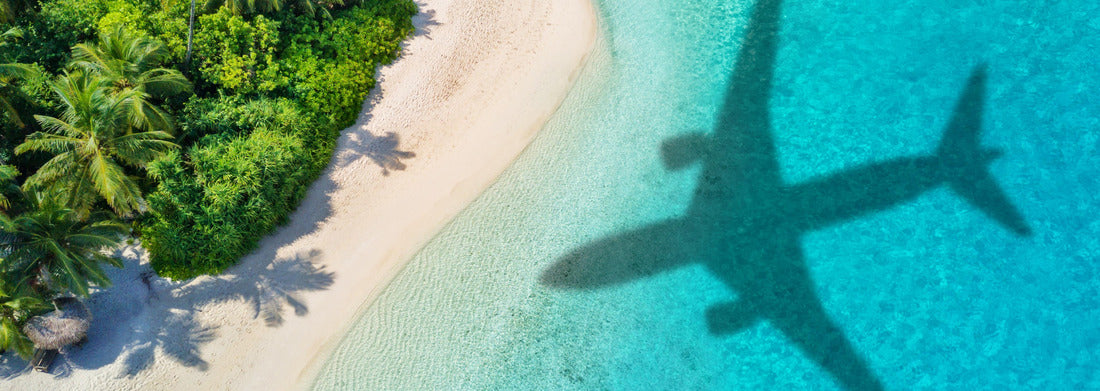 Noah Jigsaw PuzzleAirplane shadow and beach, Panorama 1000 Pieces