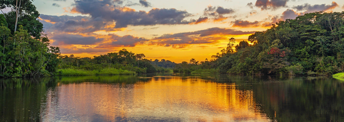 Reflection of a sunset at a lagoon in the Amazon rainforest basin, Colombia 1000pc Panoramic Puzzle