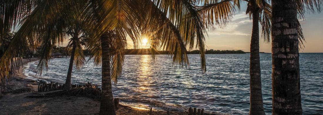 Noah Jigsaw PuzzleSunset on the white beach, Cispatá - Colombia, Panorama 1000 Pieces