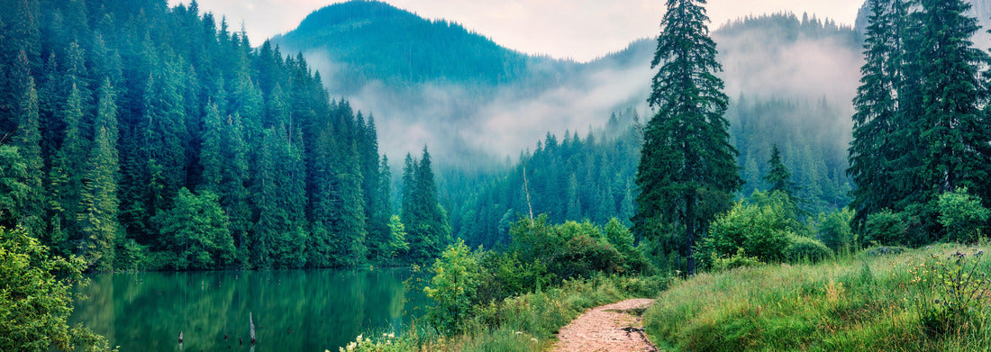 Noah Jigsaw PuzzleFoggy morning scene of the Lacu Rosu lake. Foggy summer sunrise in Harghita County, Romania, Europe. Beauty of nature concept background, Panorama 1000 Pieces