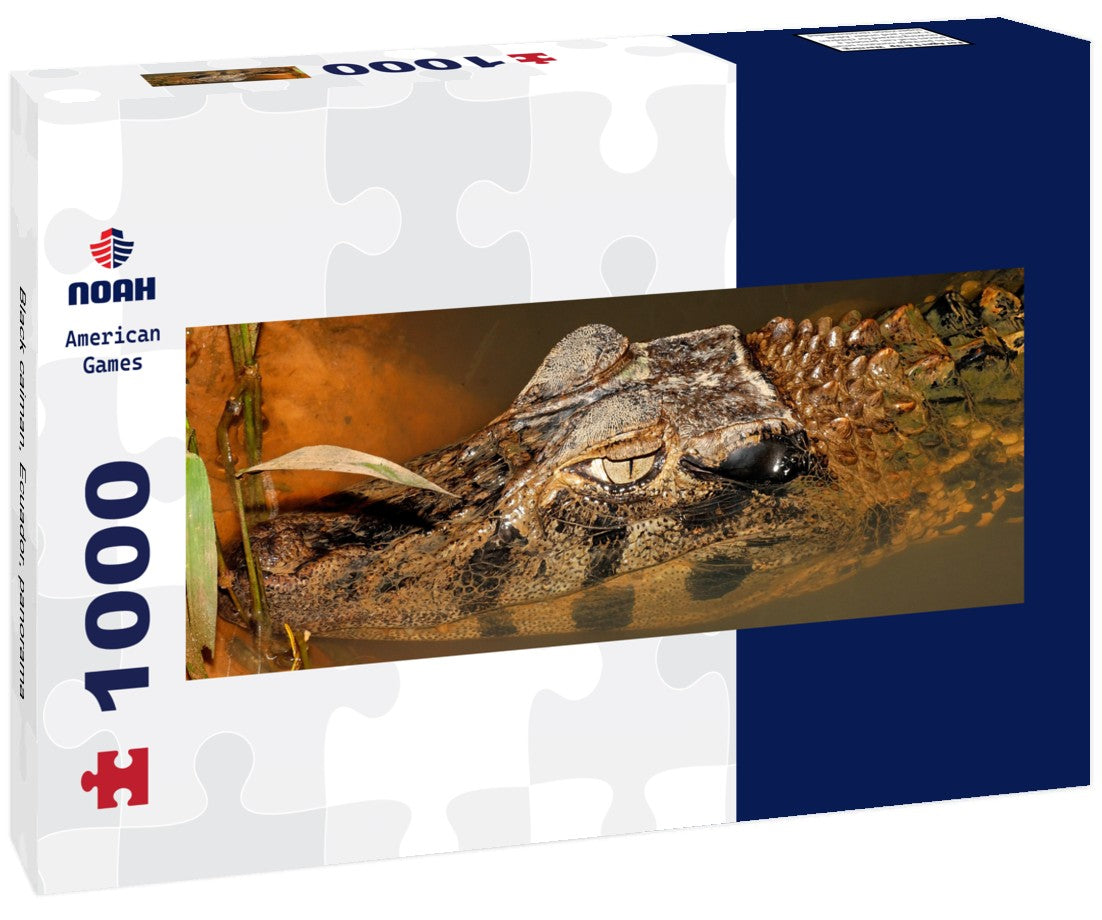 Noah Jigsaw PuzzleBlack caiman, Ecuador, Panorama 1000 Pieces