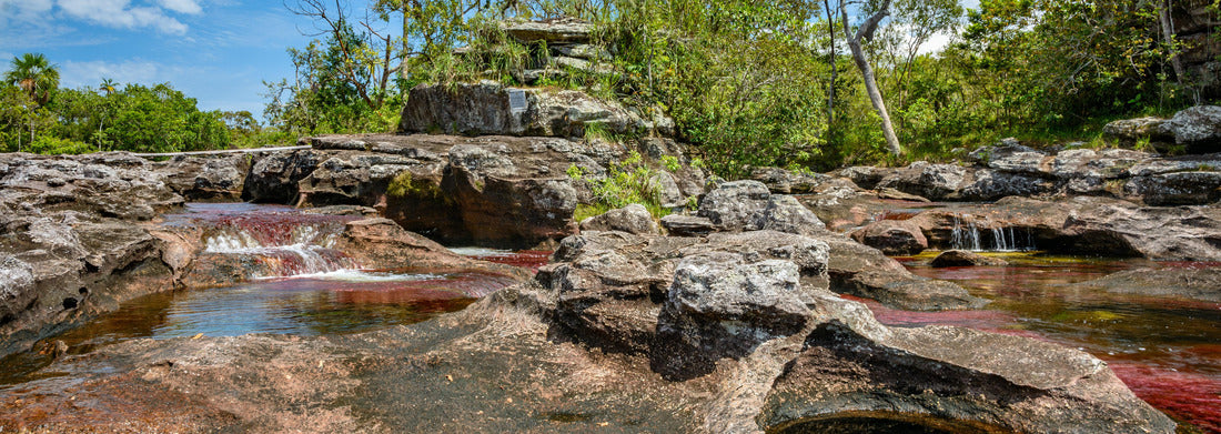 Noah Jigsaw Puzzle Caño Cristales Colombia , Rio de Colores, Panorama 1000 Pieces