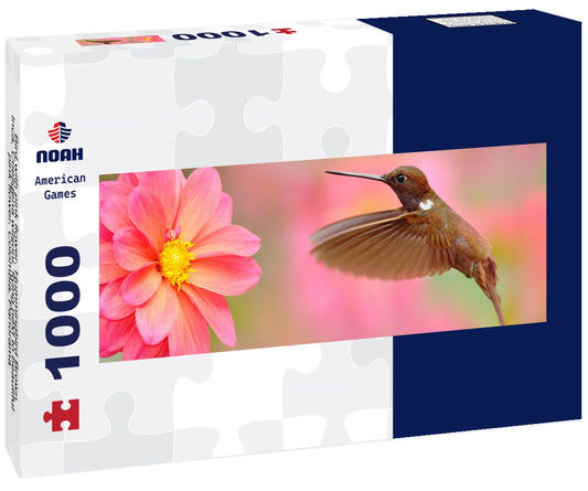 Noah Jigsaw Puzzle Bird with pink flower. Hummingbird Brown Inca, Coeligena wilsoni, flying next to beautiful pink flower, Colombia, Panorama 1000 Pieces