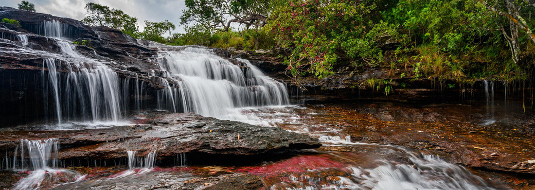 Noah Jigsaw Puzzle The Rainbow River or Five Colors River is one of the most beautiful natural sites in Colombia, called Crystal Canyon, Panorama 1000 Pieces