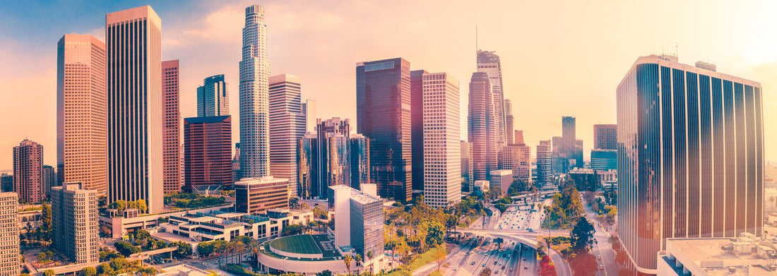 Noah Jigsaw Puzzle Los Angeles, Panorama 1000 Pieces