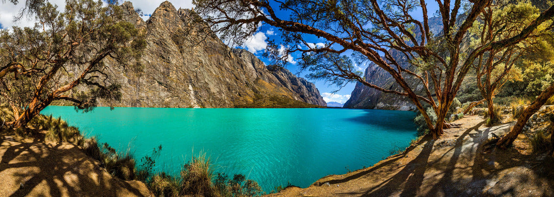 Noah Jigsaw Puzzle Quenoal trees in Lake Llanganuco, in the white mountain range near the Huascaran mountain, in Yungay, Huaraz, Ancash, Peru, Panorama 1000 Pieces