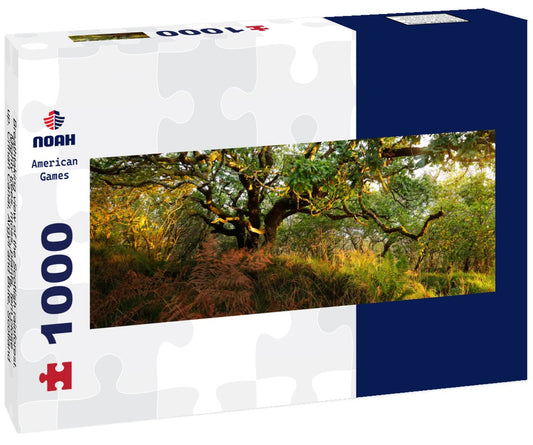 Noah Jigsaw Puzzle Breathtaking view of the Scottish rainforest. Mighty trees, moss, plants, fern close-up. Crinan Canal, Argyll and Bute, Scotland, Great Britain. Dark atmospheric landscape. Destinations, Tourism, Nature, Panorama 1000 Pieces