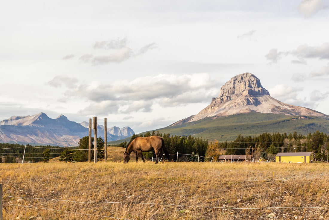Landscape in British Columbia. Picturesque rock on the background 2000pc Puzzle