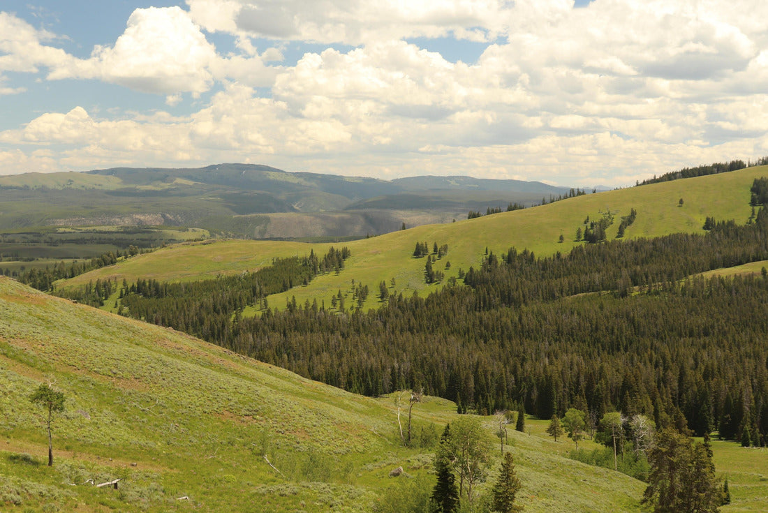 Mountainscape In Yellowstone National Park 2000pc Puzzle