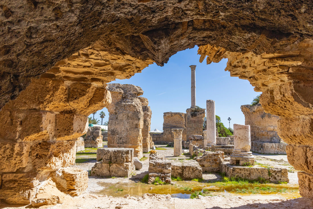 Noah Jigsaw Puzzle Baths of Antoninus, Carthage, Tunis, Tunisia. Roman ruins of the Baths of Antoninus in Carthage 2000 pieces
