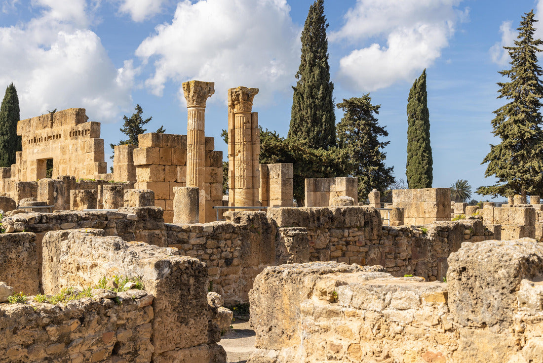 Utique, Bizerte, Tunisia. Roman ruins at the archaeological site of Utique 2000pc Puzzle