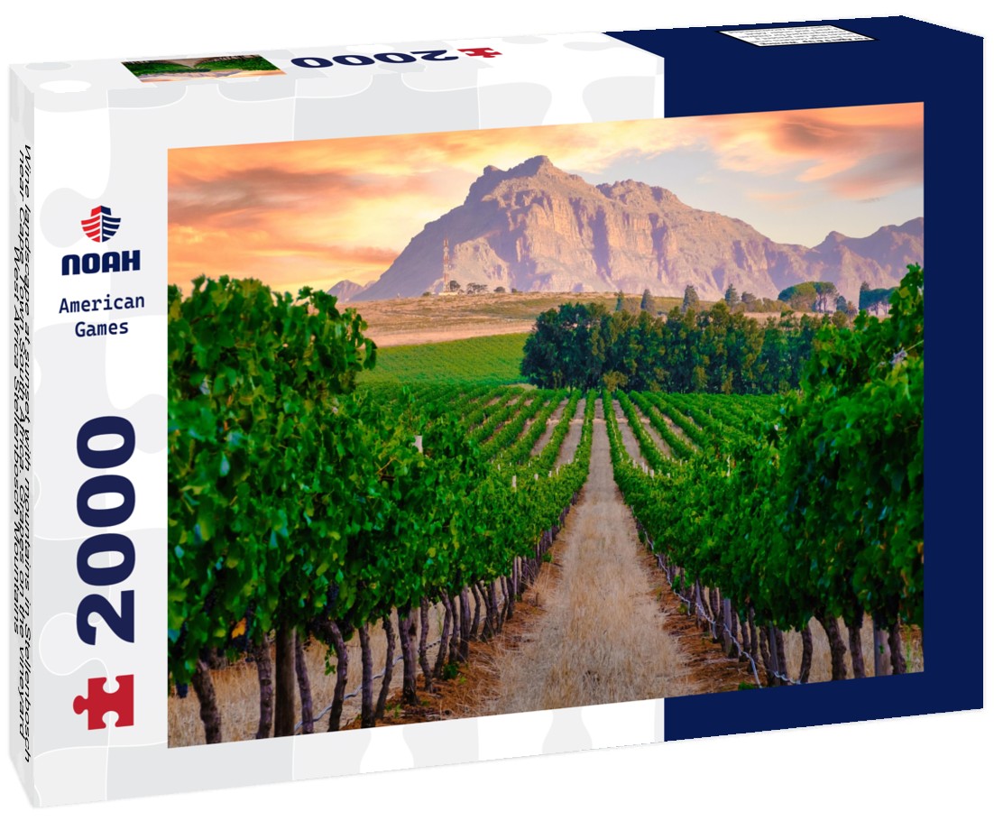 Noah Jigsaw Puzzle Wine landscape at sunset with mountains in Stellenbosch near Cape Town South Africa. Grapes on the vineyard West Africa Stellenbosch Mountains 2000 pieces
