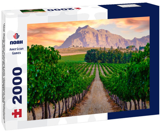 Noah Jigsaw Puzzle Wine landscape at sunset with mountains in Stellenbosch near Cape Town South Africa. Grapes on the vineyard West Africa Stellenbosch Mountains 2000 pieces