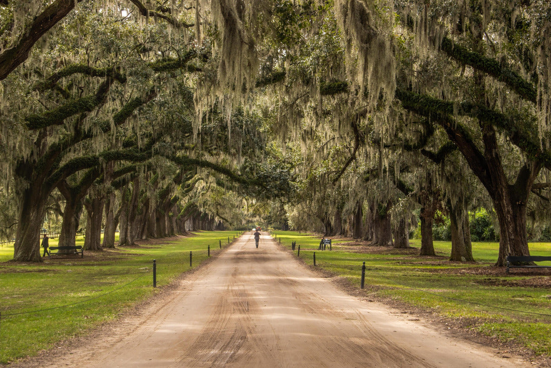 Boone Hall Plantation in Charleston, South Carolina, USA 2000pc Puzzle