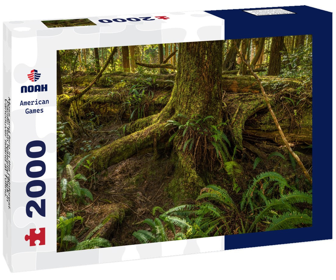 Moss and fern in the rainforest. Pacific Rim National Park in Vancouver Island at Tofino. British Columbia. Canada 2000pc Puzzle
