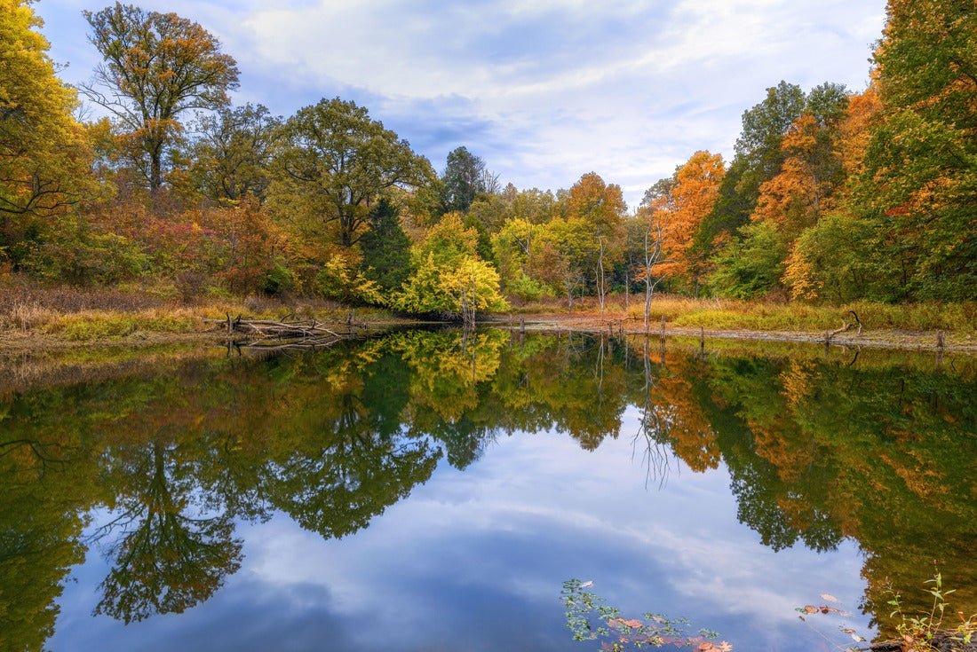 A lake, the surrounding green trees at sunrise in Beckley Creek Park in Louisville, Kentucky 2000pc Puzzle