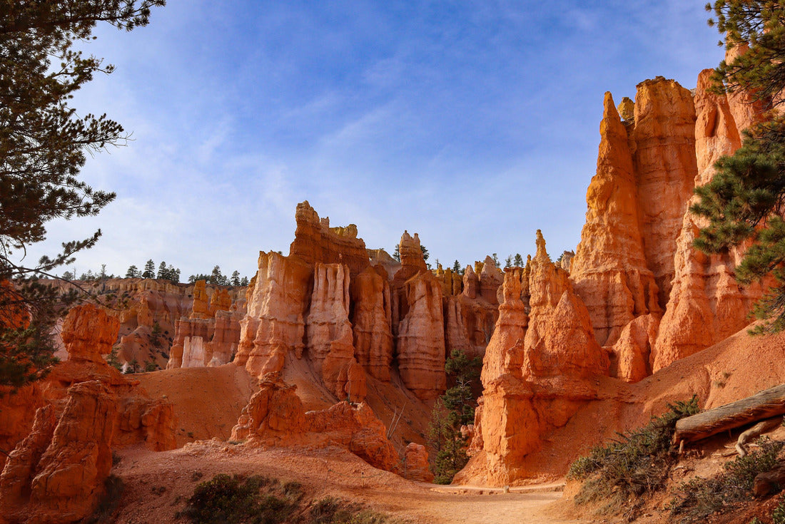 An autumn day in Bryce Canyon National Park 2000pc Puzzle