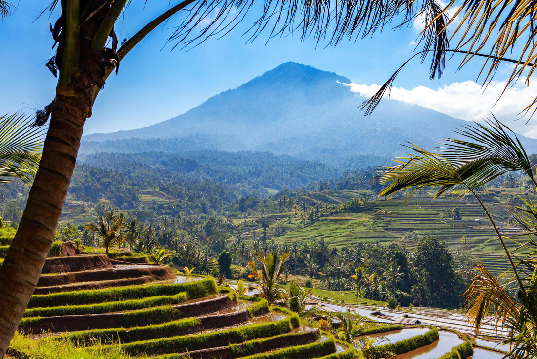 Noah Jigsaw Puzzle panoramic view of Balinese rice terraces fields plantations with volcano in Bali, Indonesia 2000 pieces