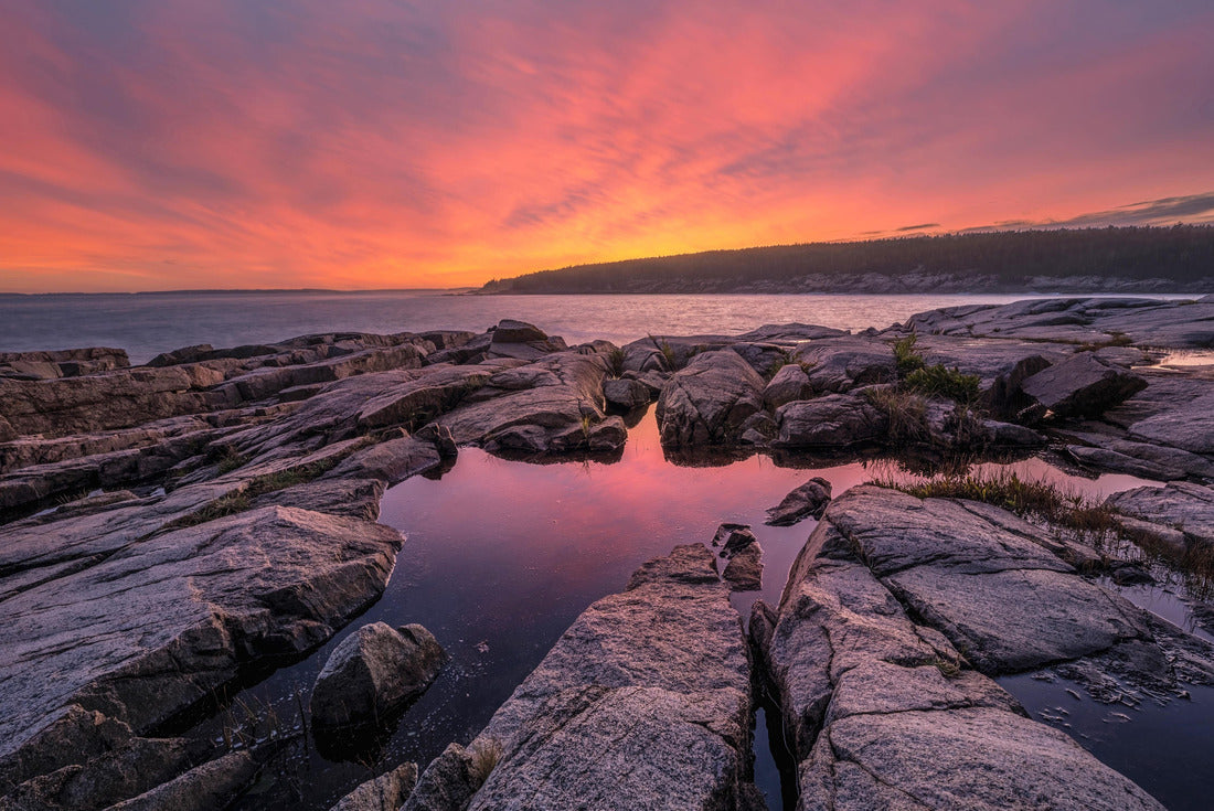 Rock tide pool Sunset along Ocean Path in Acadia National Park Maine 2000pc Puzzle