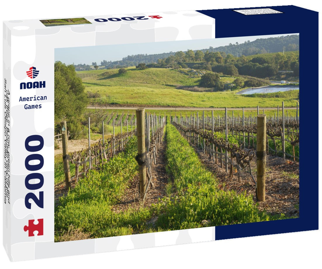 A grape in a row, green hills and oak trees. Beautiful view of the San Luis Obispo Valley in California in late winter 2000pc Puzzle