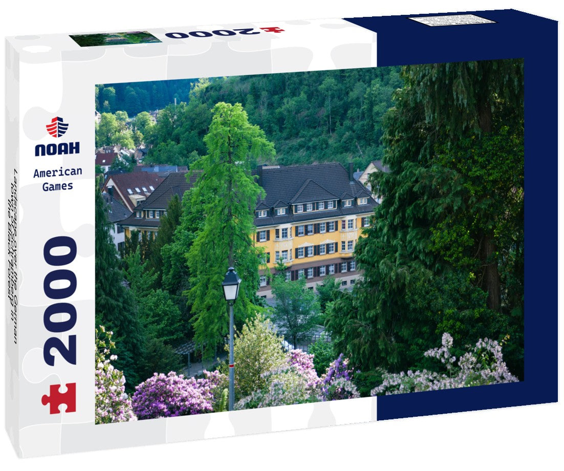 Landscape over the German town of Schramberg in the Black Forest 2000pc Puzzle